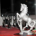 Campionato Prov.le S.O. 2011 - FINALE
